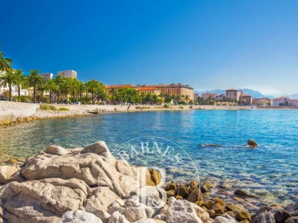 Ajaccio : Superbe Penthouse vue mer panoramique